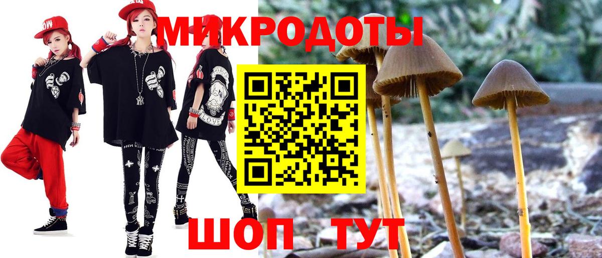 Галлюциногенные грибы прущие грибы Конаково