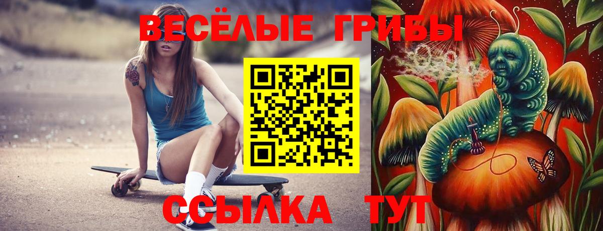 Конаково  Псилоцибиновые грибы Cubensis  Вход с VPN 